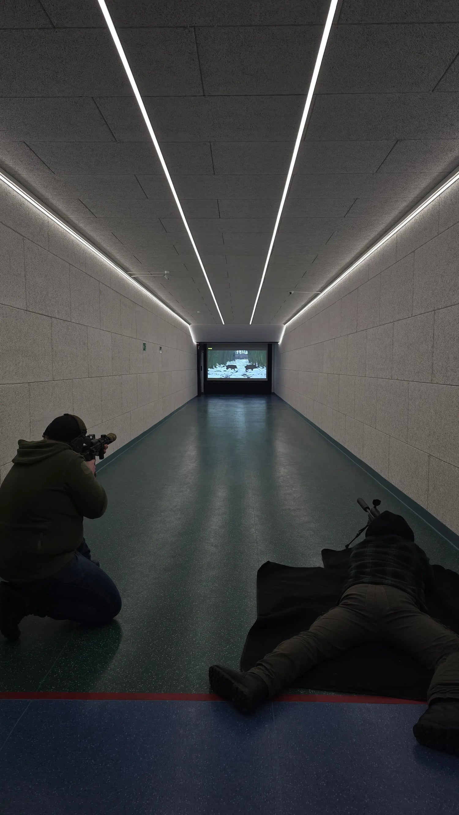 Zusammen Schiessen Keiler