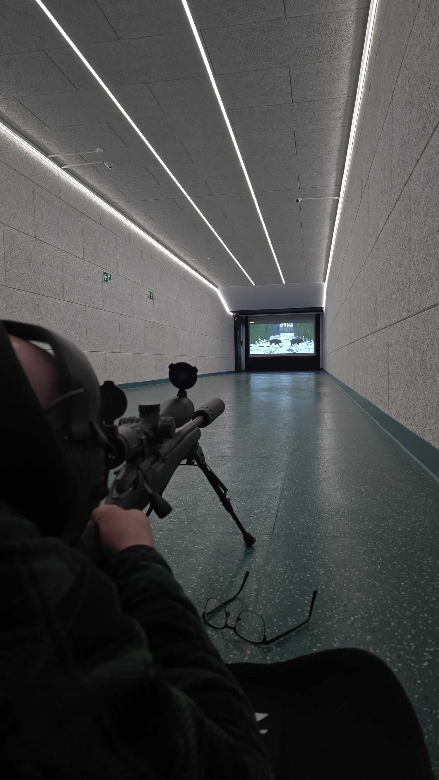 Schiessen Laufende Keiler